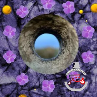 Crown Of Violets ånd fragrances